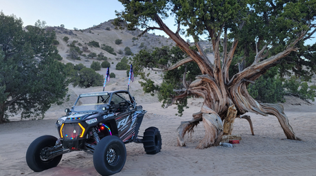 Why Experienced Hunters Recommend Using UTV Cab Enclosures