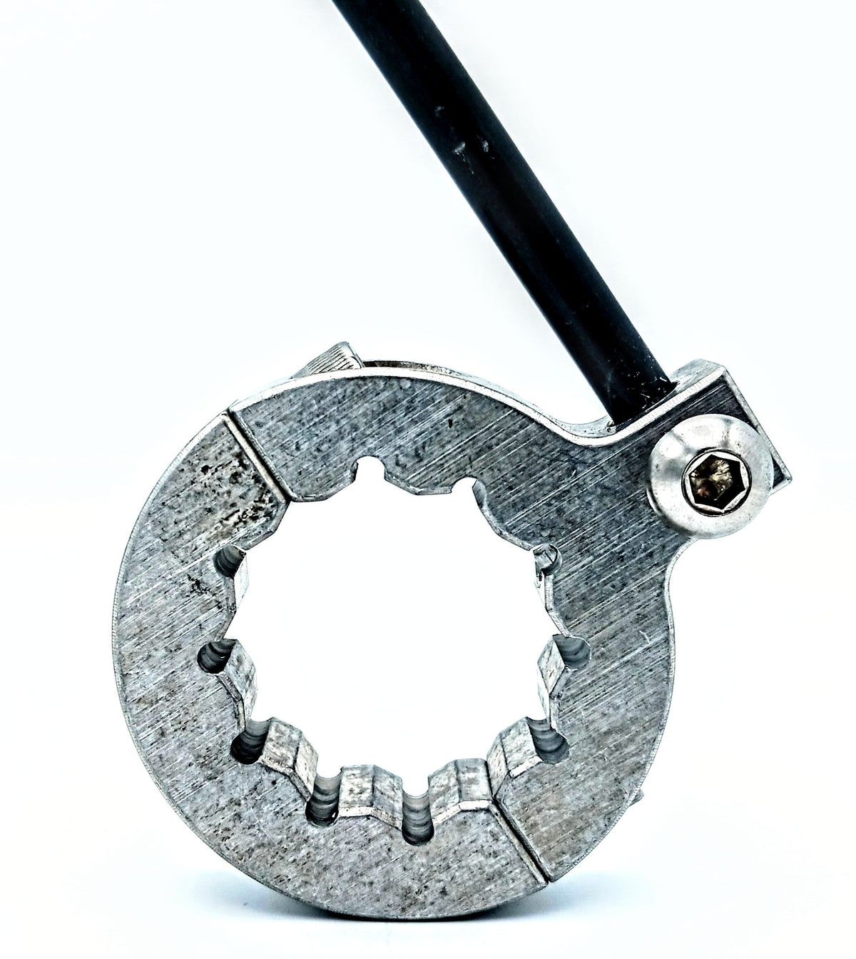 Motorcycle Whip Mount