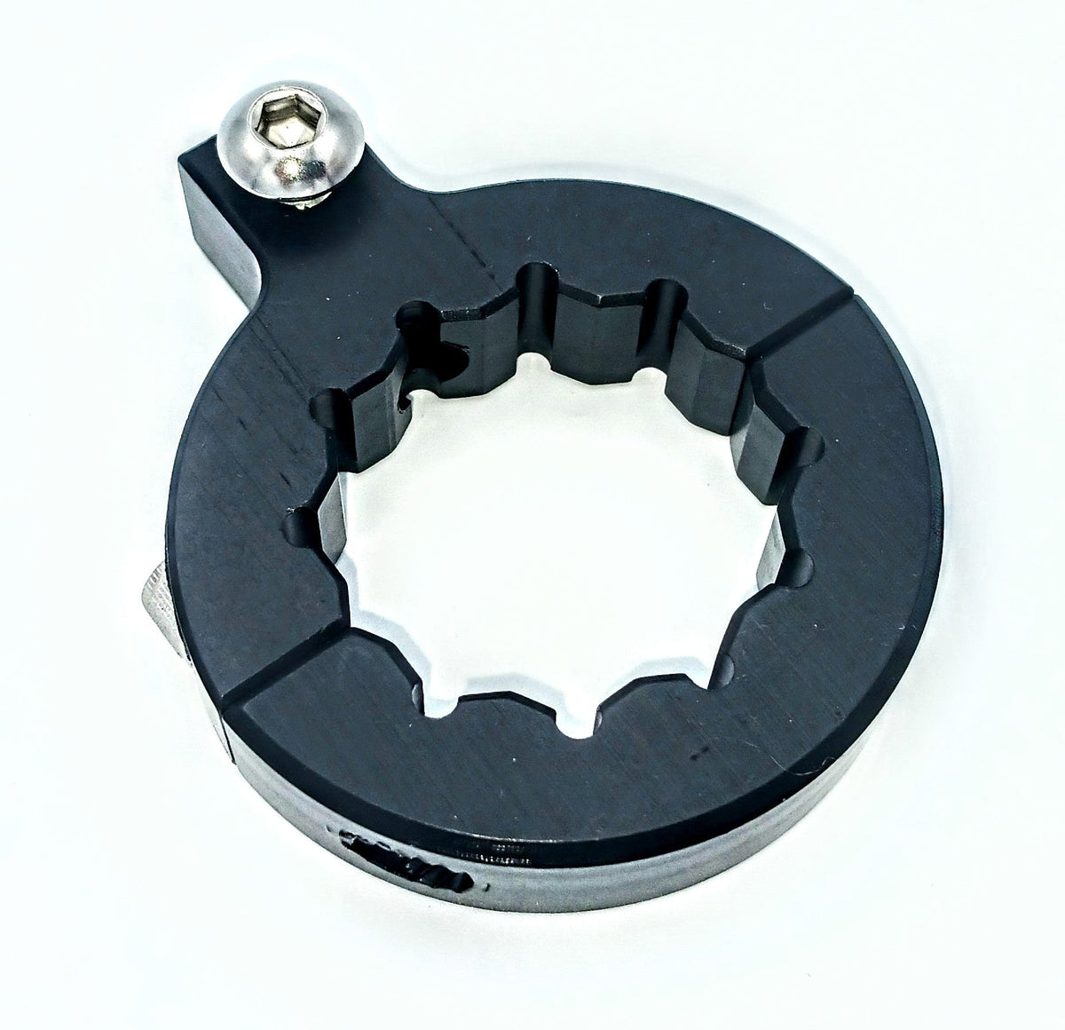 Motorcycle Whip Mount