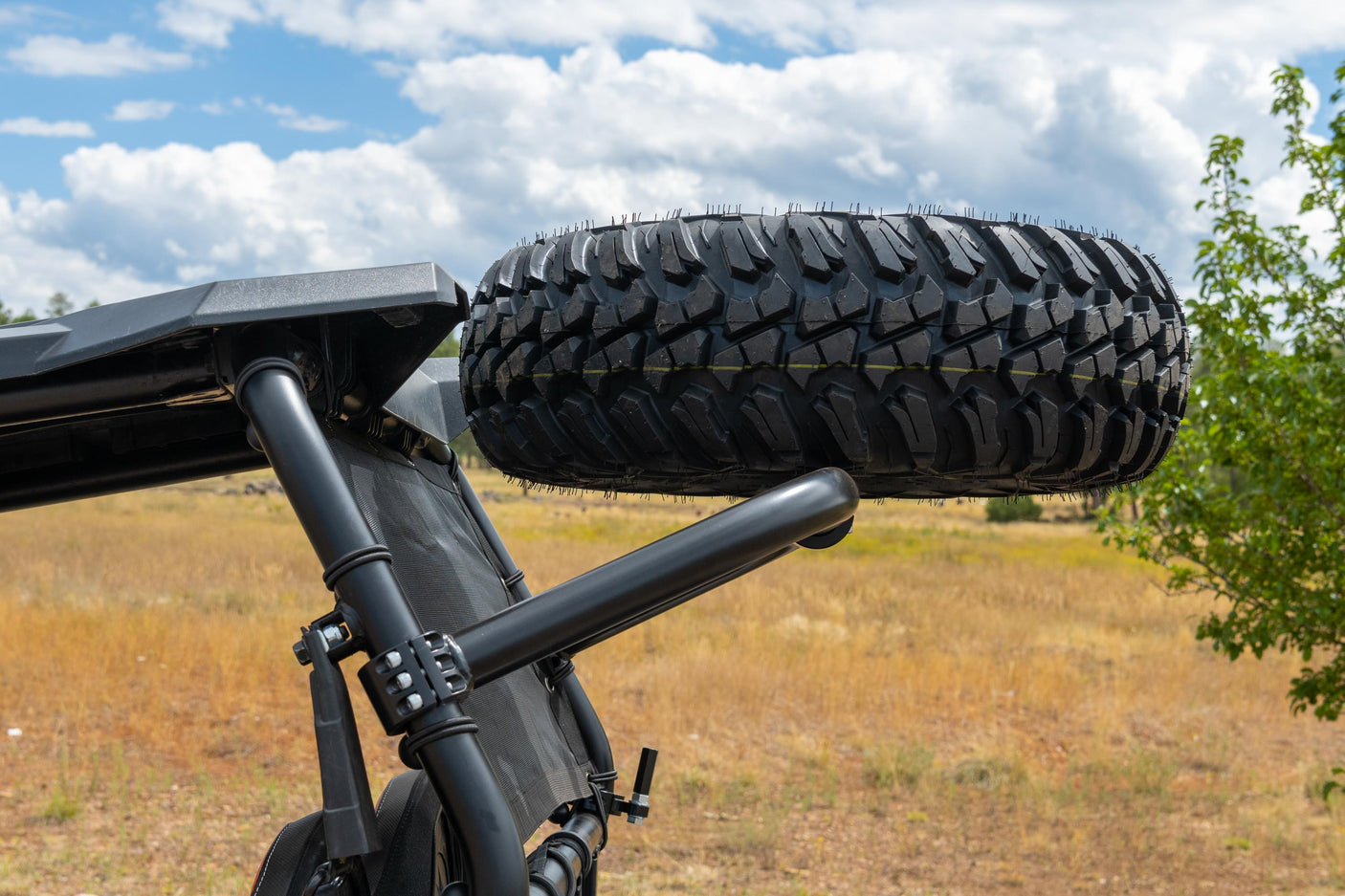 Photo of RZR 1000 S Dual Clamp Spare Tire Mount by Factory UTV - Premium Spare Tire Mounts for UTVs / Side by Sides