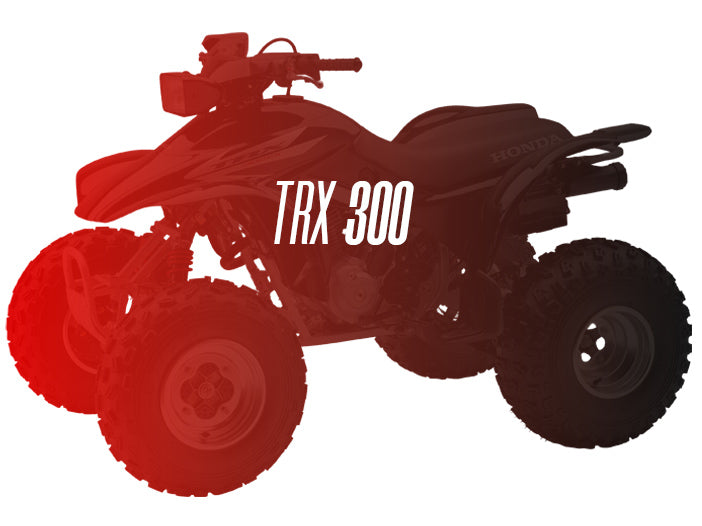 CW Motorsports Remanufactured Engine, Honda TRX 300