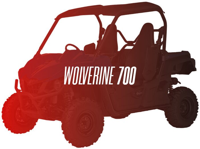 CW Motorsports Remanufactured Engine, Yamaha Wolverine 700