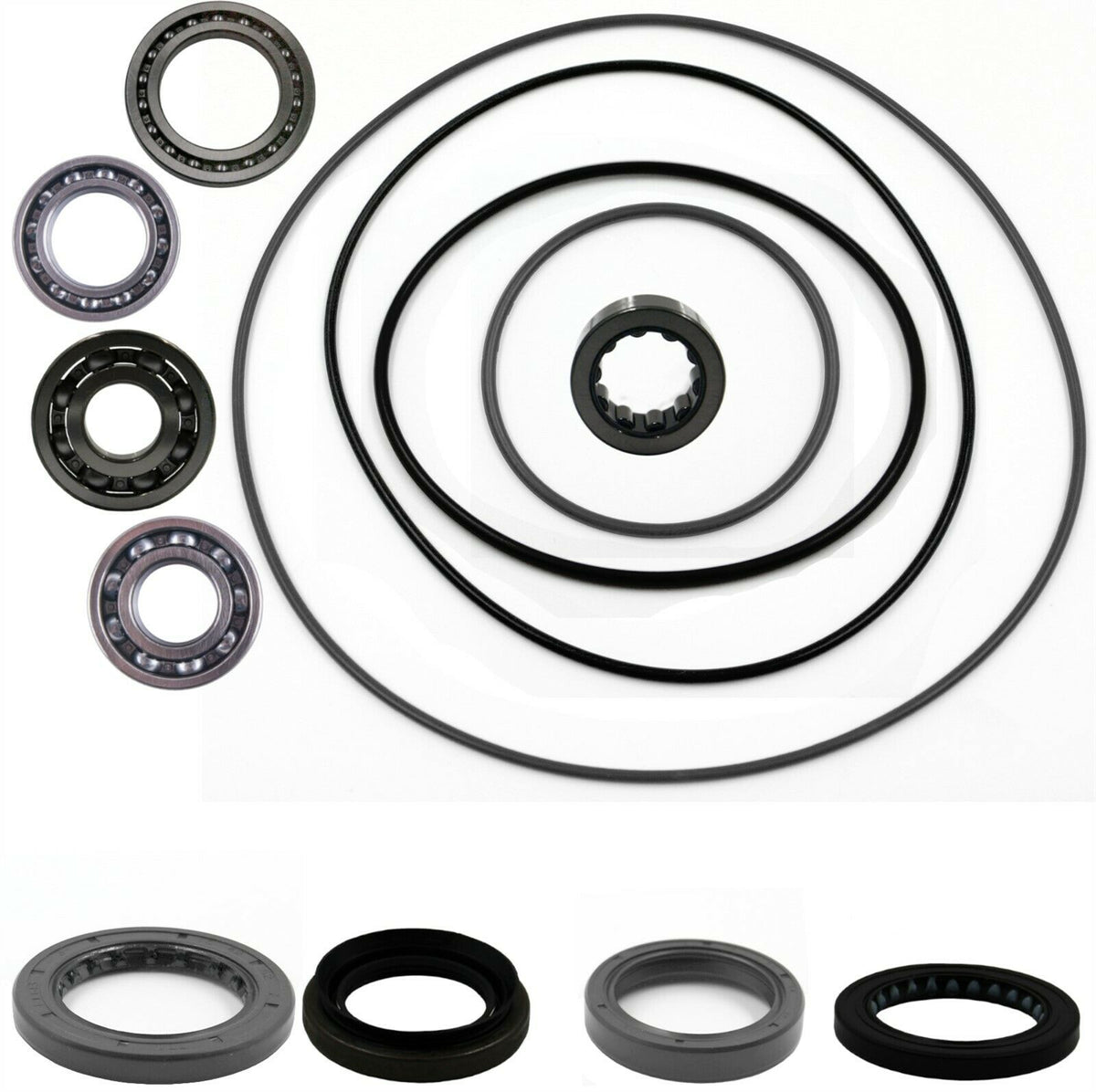 Suzuki Quadrunner Quadmaster 500 Rear Differential Bearing & Seal Kit 2001 2002 - product view 1