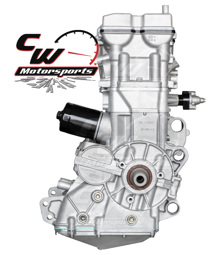 CW Motorsports Remanufactured Engine, Polaris RZR XP 900