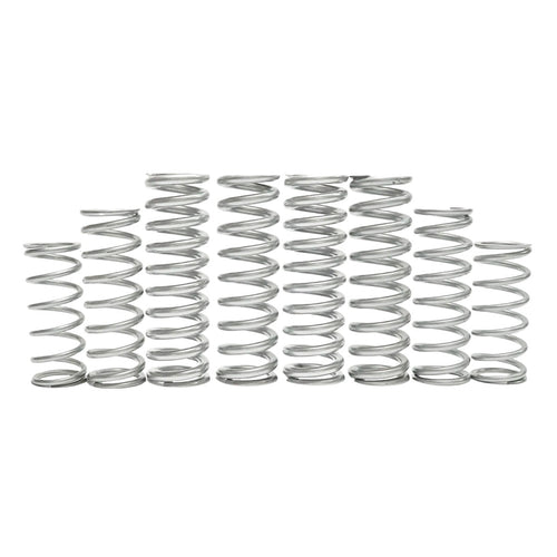 Polaris RZR Turbo R dual rate spring kit collection