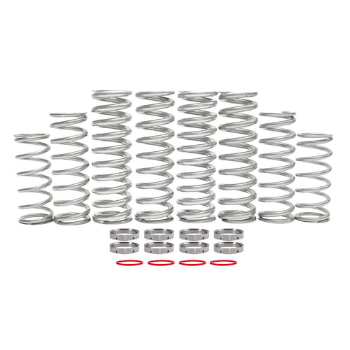 Polaris RZR dual rate spring kit collection