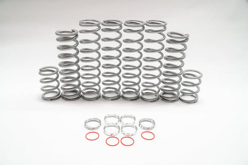 Polaris RZR Pro XP dual rate spring kit collection