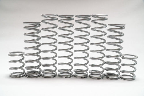 Polaris RZR Pro R dual rate spring kit collection
