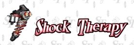 Shock Therapy collection