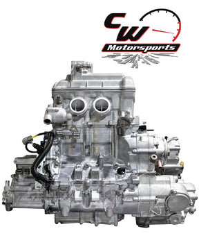 CW Motorsports Remanufactured Engine, Honda Pioneer 1000