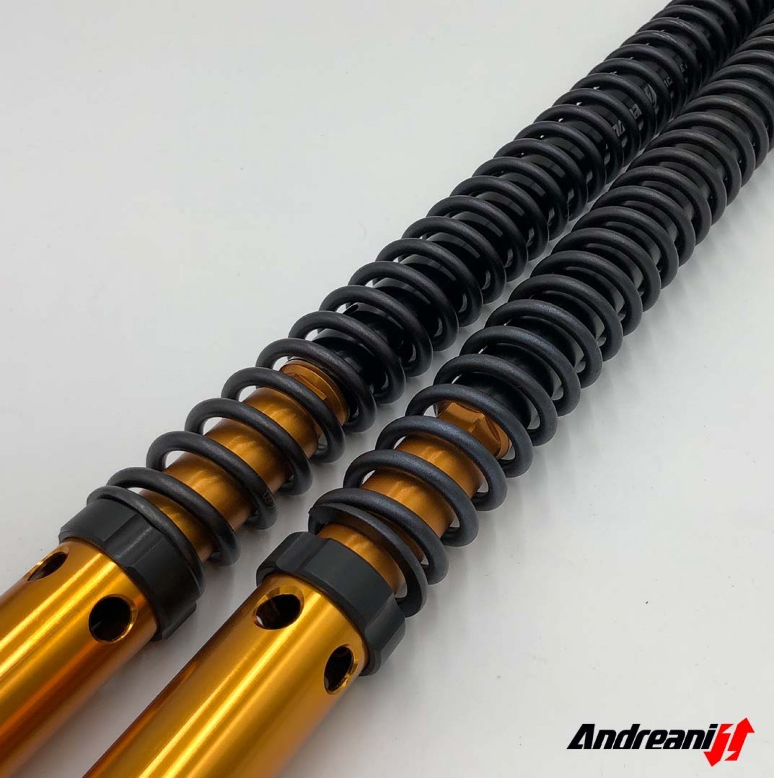 ANDREANI:125/Y02