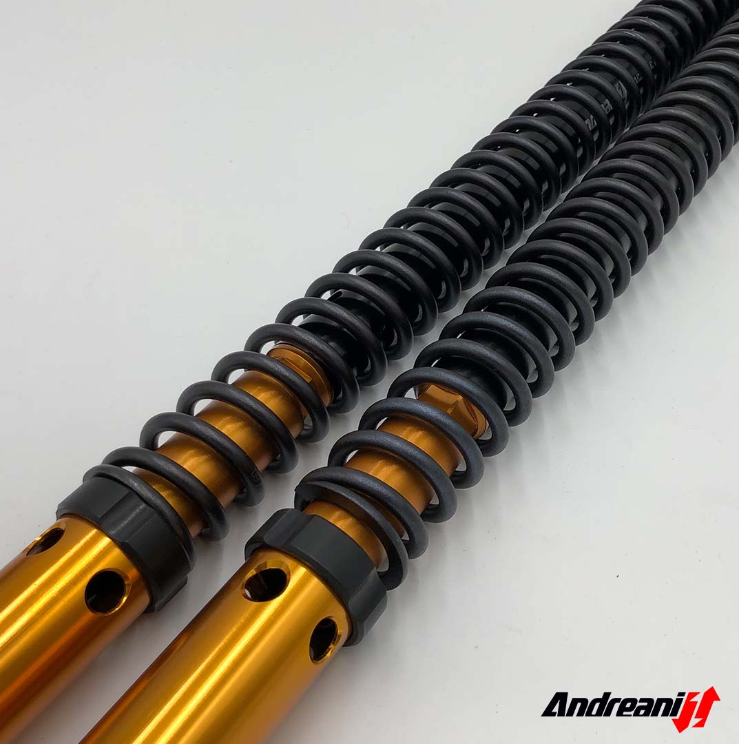 ANDREANI:125/Y01