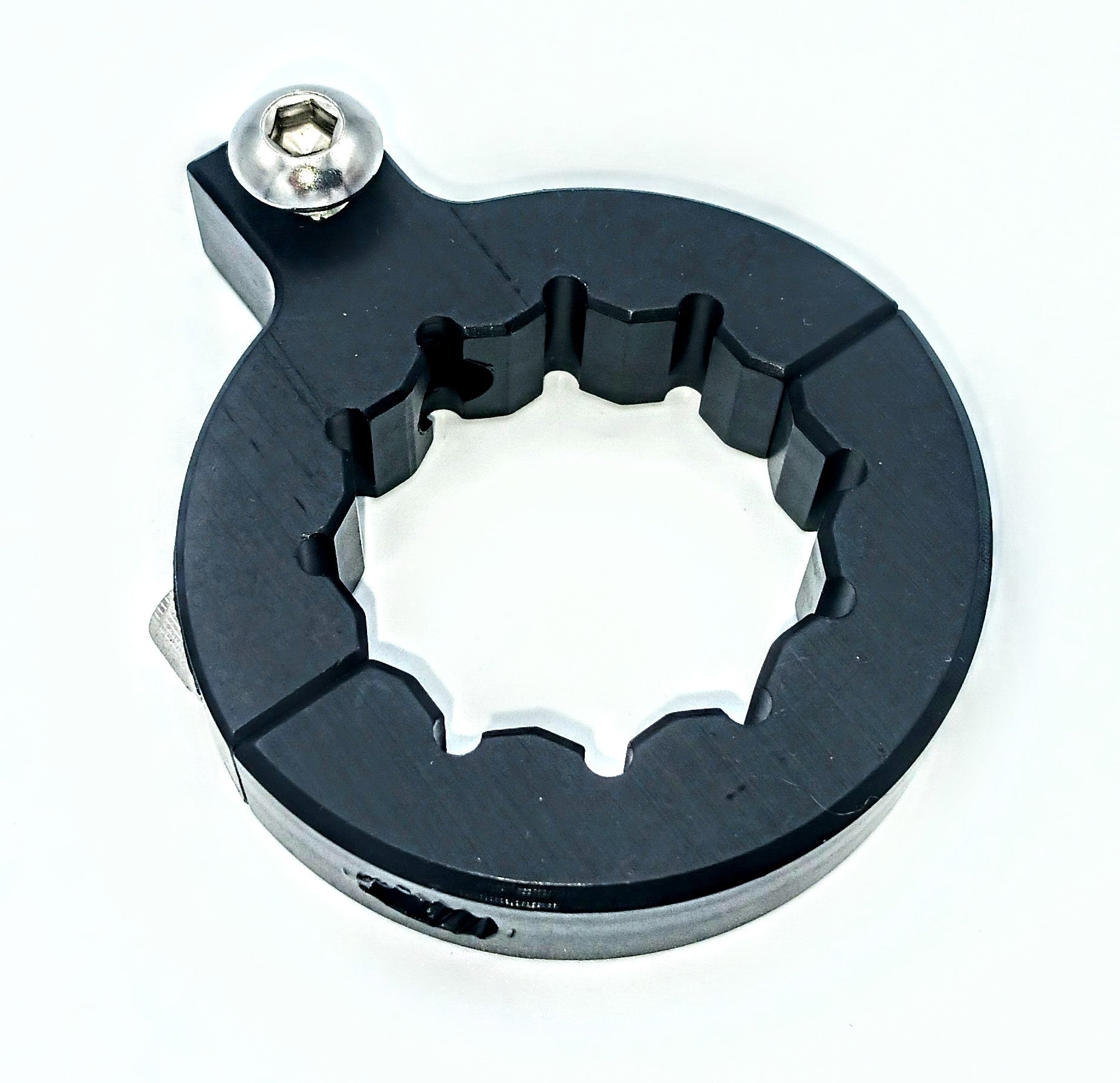 Motorcycle Whip Mount