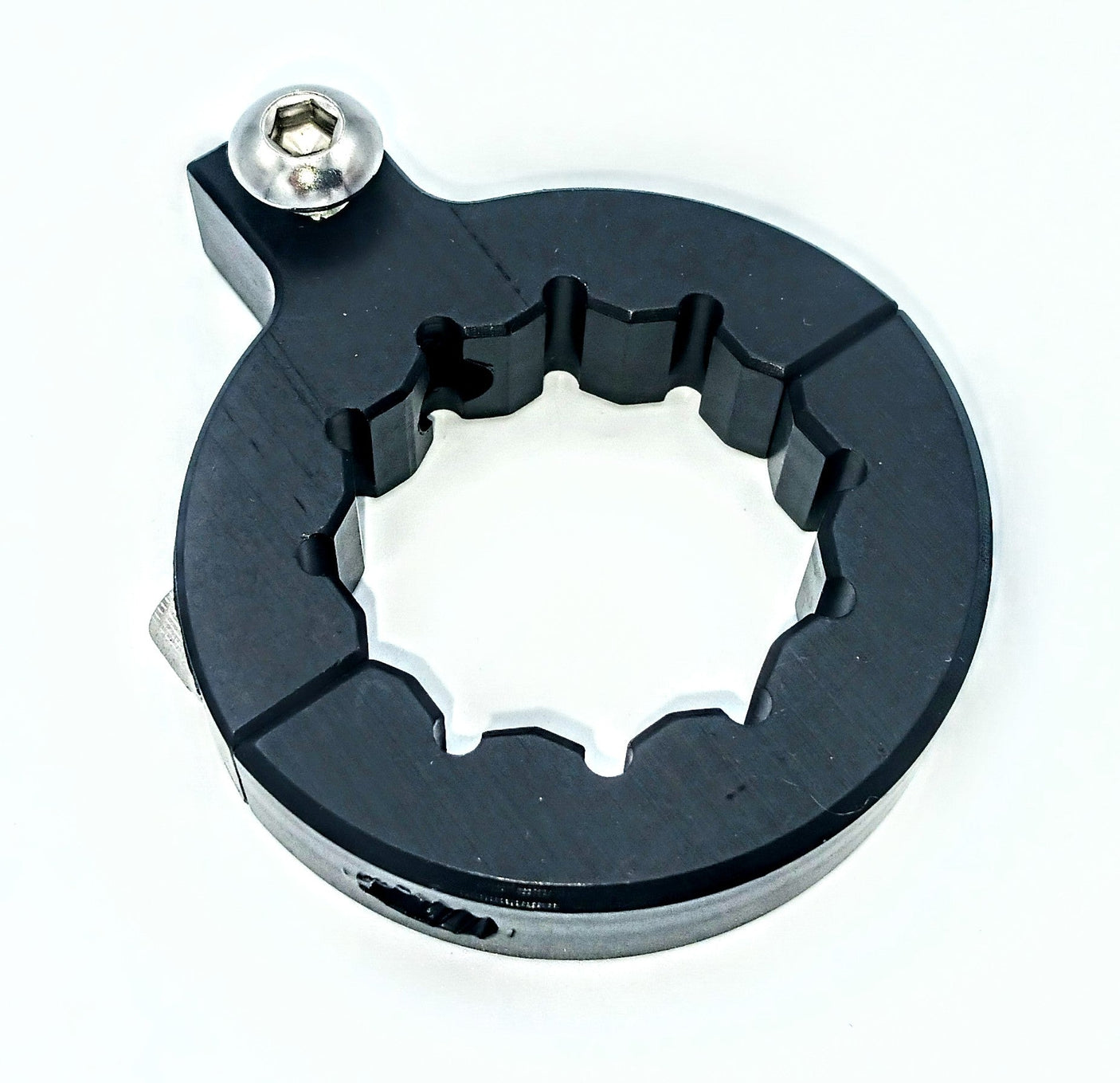 Motorcycle Whip Mount