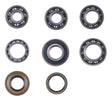 Polaris Sportsman Worker 335 400 455 500 Rear Transmission Bearing & Seal Kit - product view 1