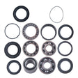 Yamaha Bruin Big Bear Beartracker 250 Rear Differential Bearing & Seal Kit - product view 1