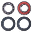 Yamaha Timberwolf 250 Rear Axle Carrier Bearing & Seal Kit 1996 1997 - product view 1