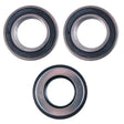 Honda TRX250 Recon TRX250X Rear Axle Carrier Bearing & Seal Kit - product view 1