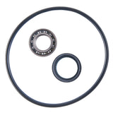 Honda TRX 250 EX Recon Rear Brake Panel Bearing And Seal Kit - product view 1