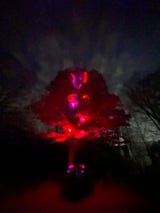 RGB Lunar Laser Light Kit