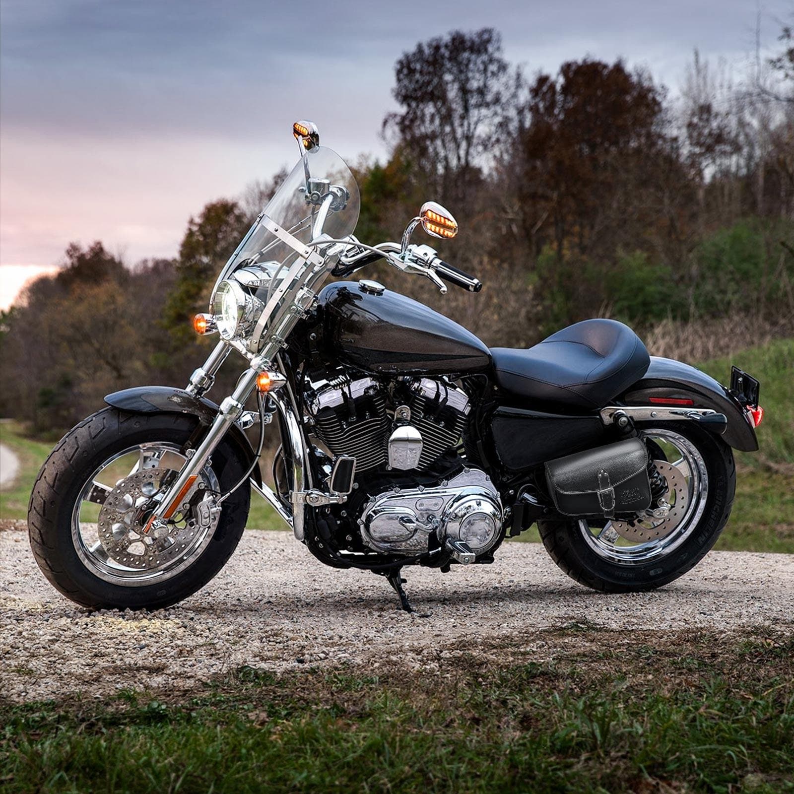 Photo of Swing Arm Saddle Bag for Sportster Rebel 300 500 by Kemimoto - Premium for UTVs / Side by Sides