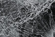 Photo of Replacement Glass for Yamaha UTVZilla Glass Windshields by UTVZILLA - Premium for UTVs / Side by Sides