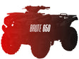 CW Motorsports Remanufactured Engine, Kawasaki Brute/Prairie 650