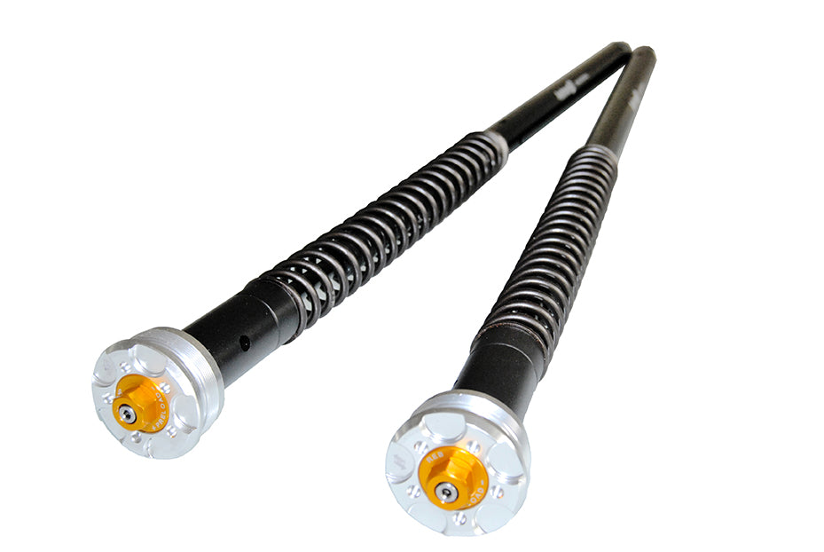 ANDREANI:305/G17E