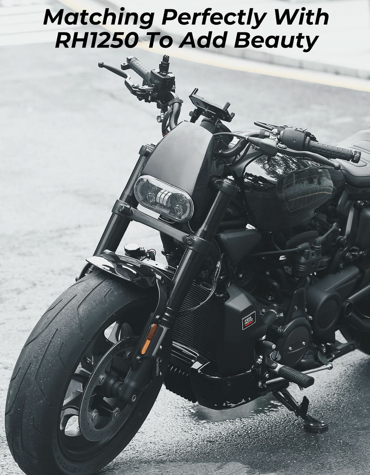 Photo of Motorcycle Fairing Kit for Sportster S 1250 by Kemimoto - Premium for UTVs / Side by Sides