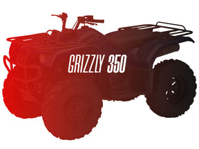 CW Motorsports Remanufactured Engine, Yamaha Grizzly 350