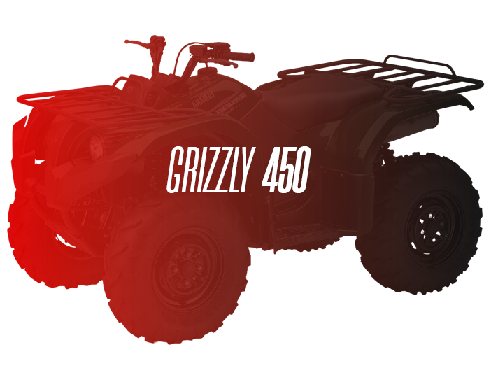 CW Motorsports Remanufactured Engine, Yamaha Grizzly 450