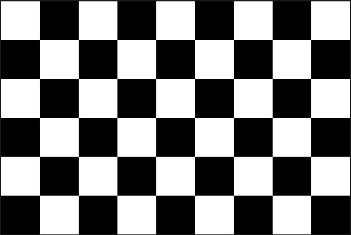 Double Sided Grommet Checkered Flag 12”x18”