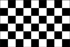 Double Sided Grommet Checkered Flag 12”x18”