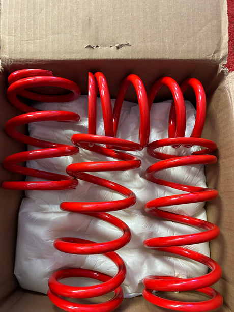Photo of Open Box MTS Polaris RZR XP Turbo 2 Seat Walker Evans Red Tender Spring Kit (2016) by R1 Industries - Premium Tender Springs for UTVs / Side by Sides