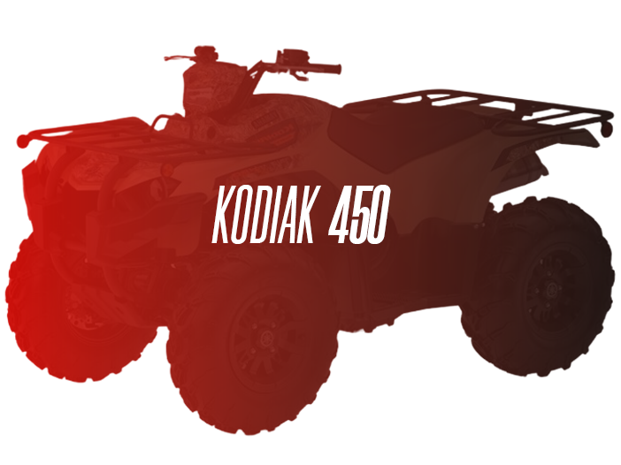 CW Motorsports Remanufactured Engine, Yamaha Kodiak 450