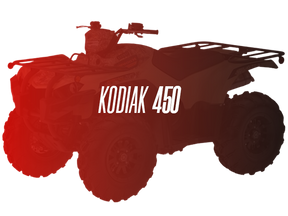 CW Motorsports Remanufactured Engine, Yamaha Kodiak 450