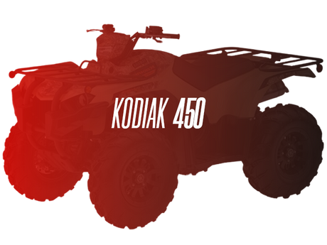 CW Motorsports Remanufactured Engine, Yamaha Kodiak 450