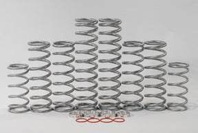 Photo of Polaris RZR RS1 Dual Rate Spring Kit by Shock Therapy - Premium Dual Rate Spring Kits for UTVs / Side by Sides