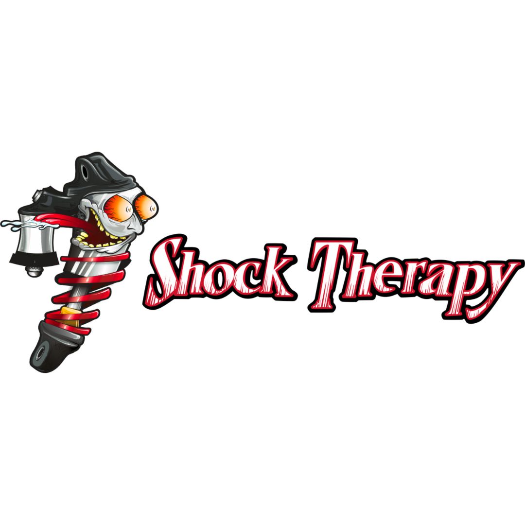 Photo of Shock Therapy Ride Improvement System (RIS) by Shock Therapy - Premium for UTVs / Side by Sides