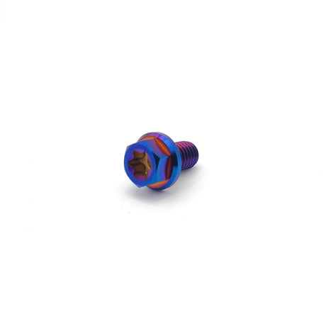 Titanium M6 Flange Bolts