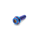 Titanium M6 Flange Bolts