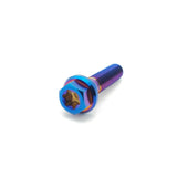 Titanium M6 Flange Bolts