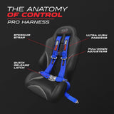 50 Caliber Racing 2-inch 4-point UTV harness in Blue — strap and buckle details