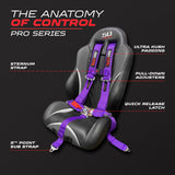 Pro Series 2" 5-Point Race-Latch UTV Harness - product image 17