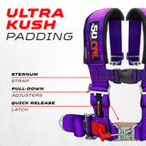 Pro Series 2" 4-Point Race-Latch UTV Harness - product image 33