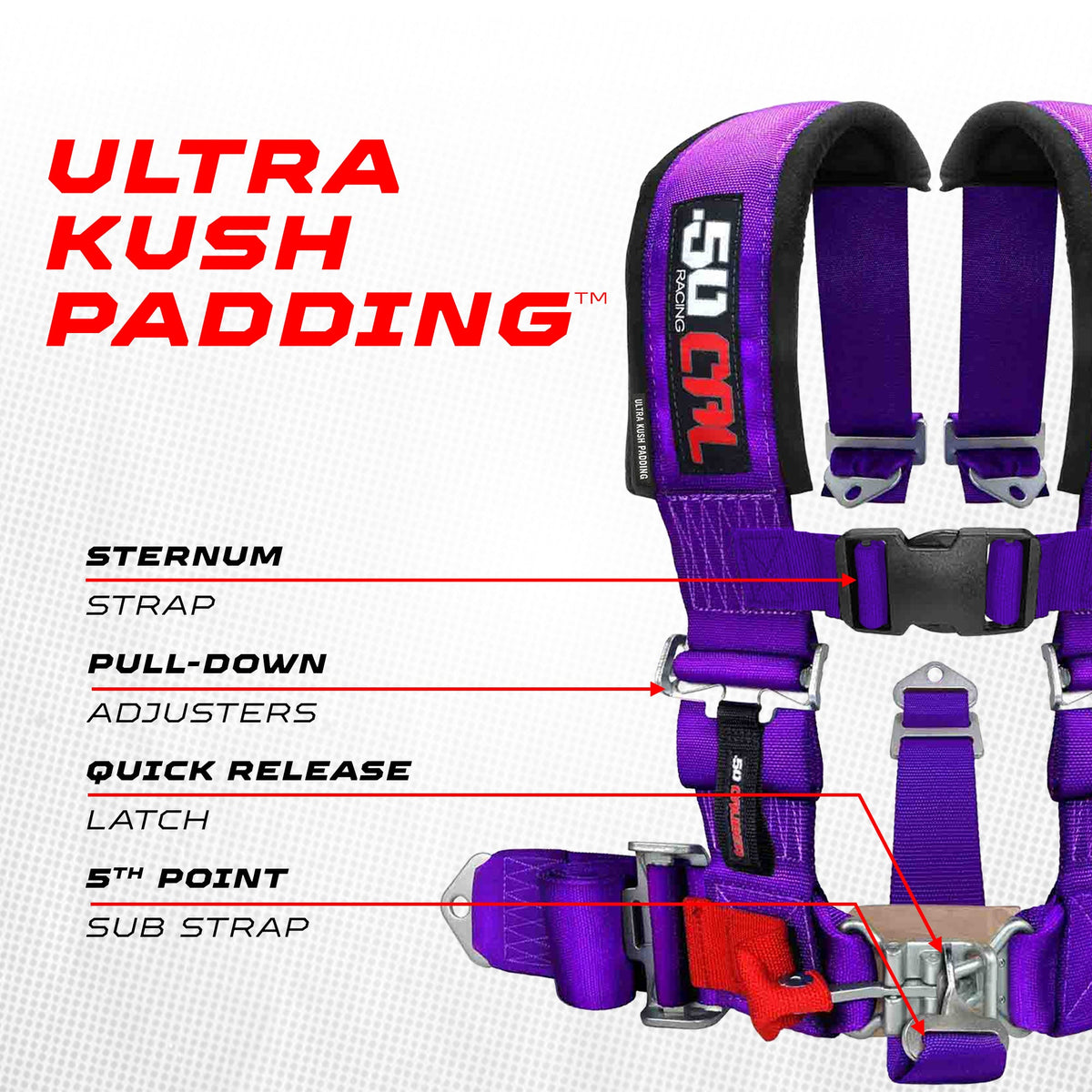 Pro Series 2" 5-Point Race-Latch UTV Harness