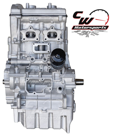 CW Motorsports Remanufactured 925cc Turbocharged Engine, Polaris RZR Pro XP