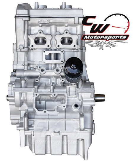 CW Motorsports Remanufactured 925cc Turbocharged Engine, Polaris RZR Pro S