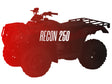 CW Motorsports Remanufactured Engine, Honda Recon 250