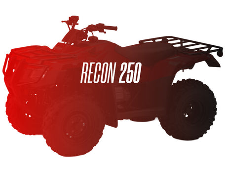 CW Motorsports Remanufactured Engine, Honda Recon 250